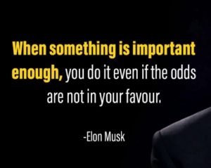 motivation quote elon musk
