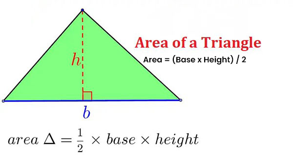 Understanding the Area of a Triangle: Unveiling the Mathematical Magic